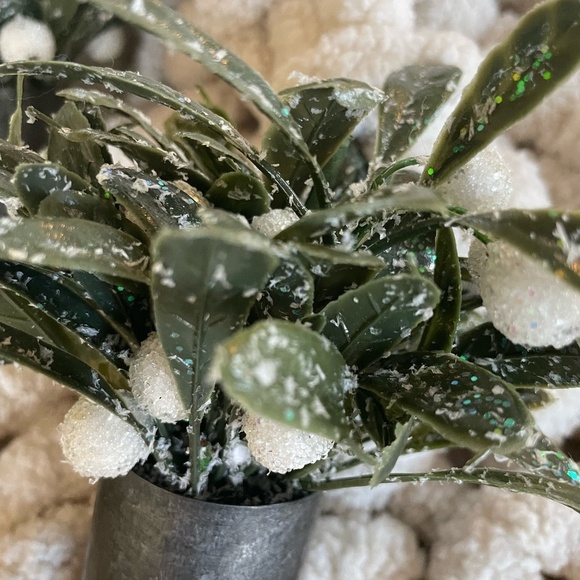 SET OF 3 MINI WINTER BERRY ARRANGEMENTS - Picture 3 of 8